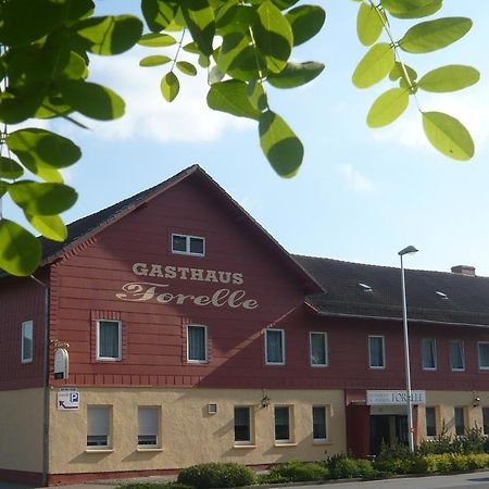 Gasthaus Forelle Thale Bagian luar foto