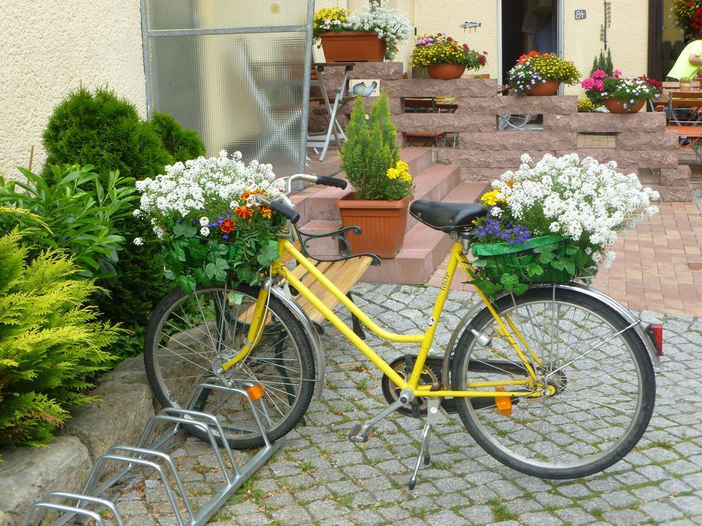 Gasthaus Forelle Thale Bagian luar foto