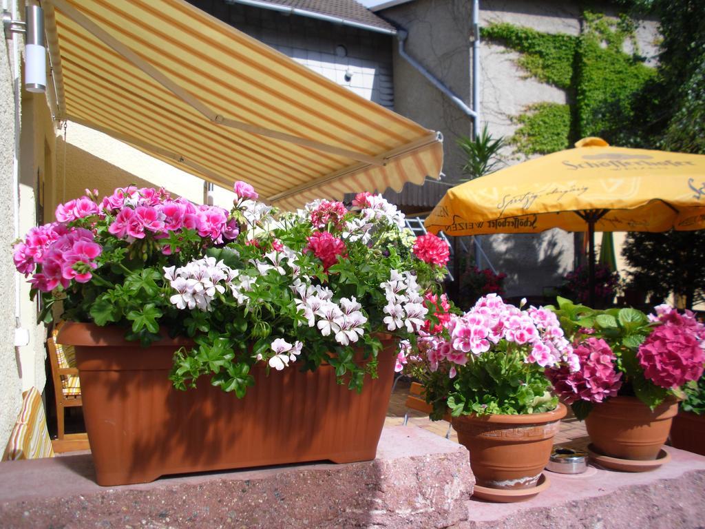 Gasthaus Forelle Thale Bagian luar foto