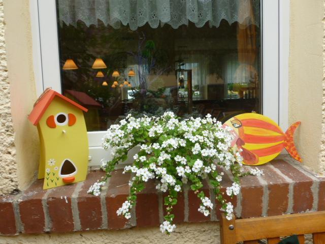 Gasthaus Forelle Thale Bagian luar foto
