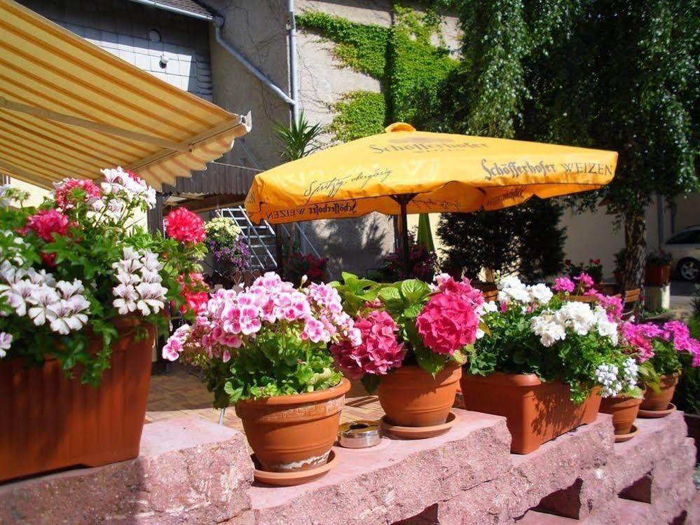 Gasthaus Forelle Thale Bagian luar foto